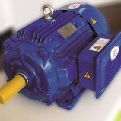 Động cơ điện 3-phase CG